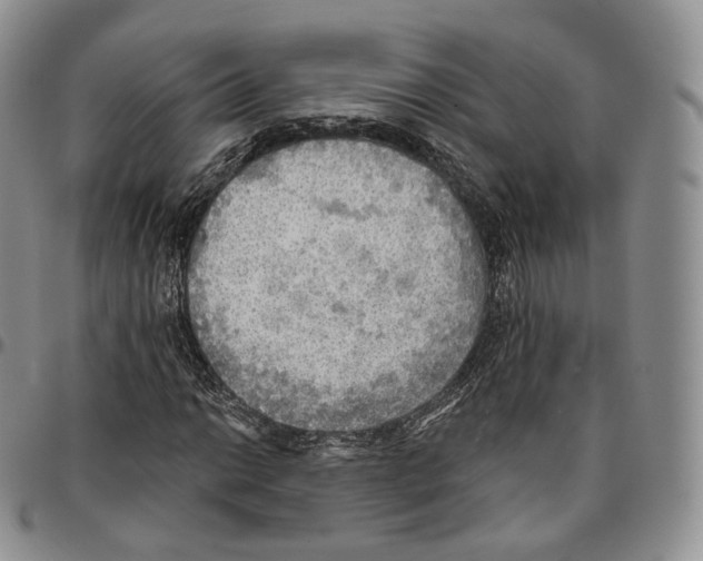 X0000096691014200803041256