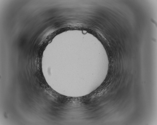 X0000096691016200803041256