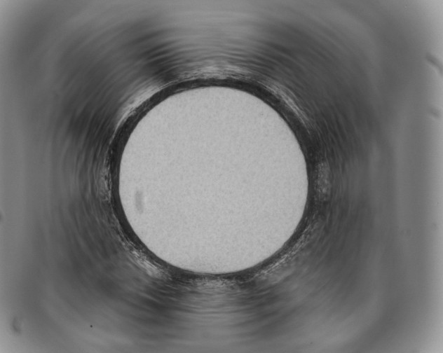 X0000096691018200803041256