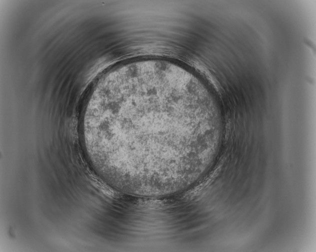 X0000096691019200803041256