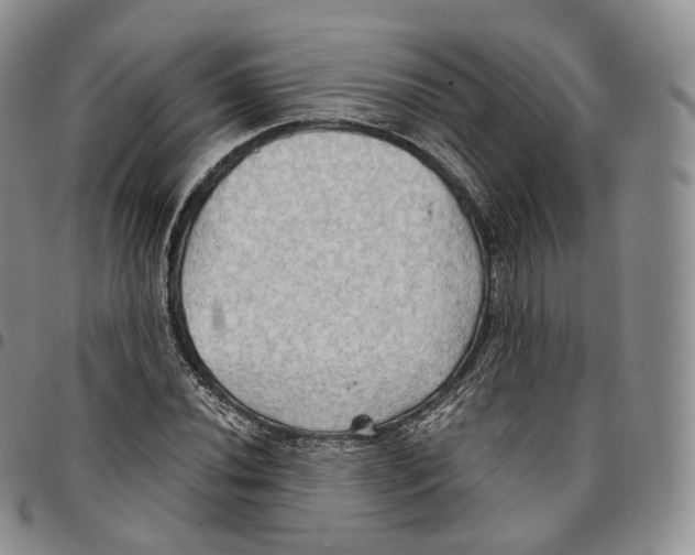 X0000096691020200803041256