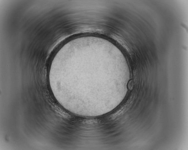 X0000096691021200803041256