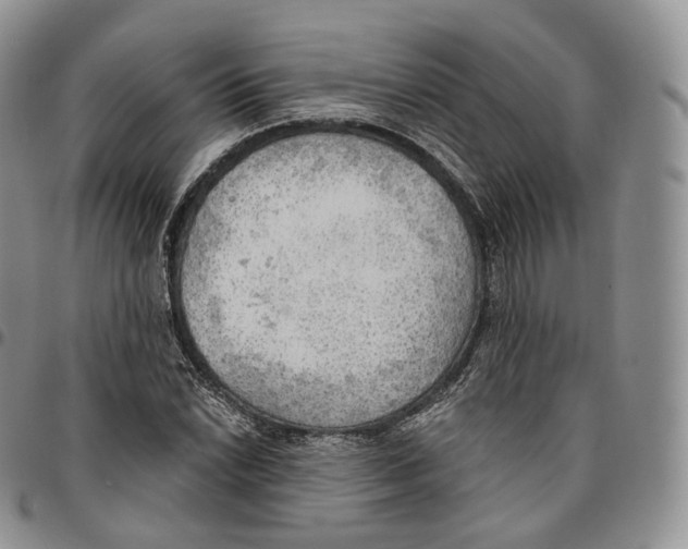 X0000096691022200803041256