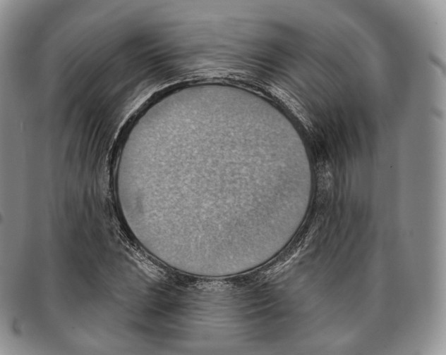 X0000096691023200803041256