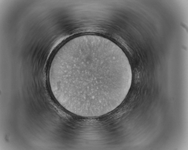 X0000096691024200803041256