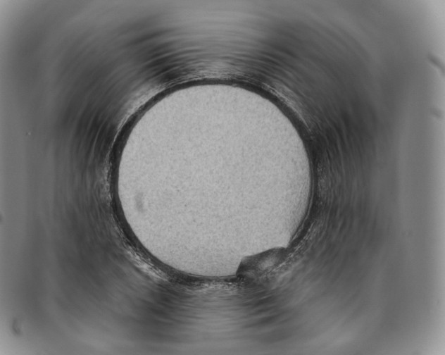 X0000096691026200803041256