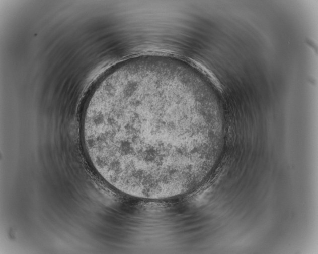 X0000096691027200803041256