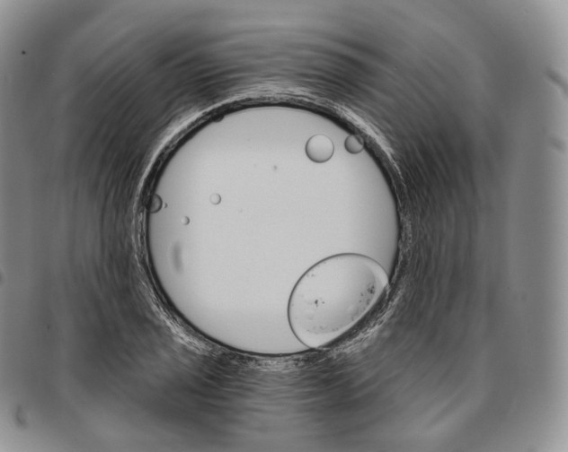 X0000096691029200803041256