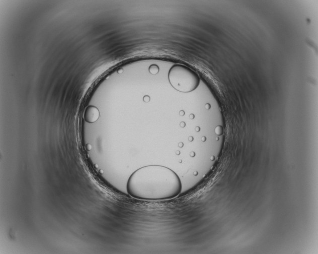 X0000096691030200803041256