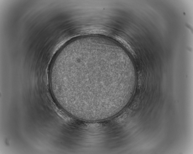 X0000096691031200803041256