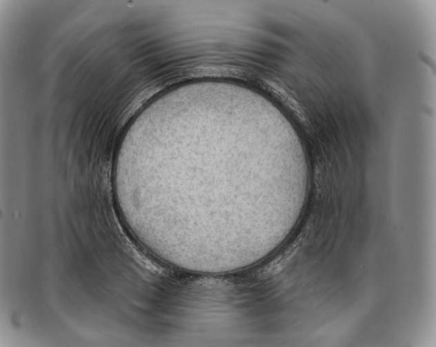 X0000096691033200803041256