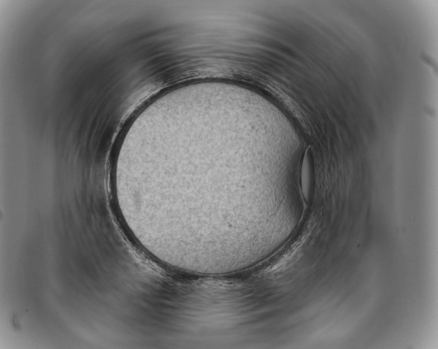 X0000096691034200803041256