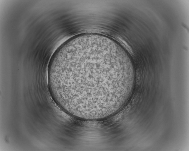 X0000096691036200803041256