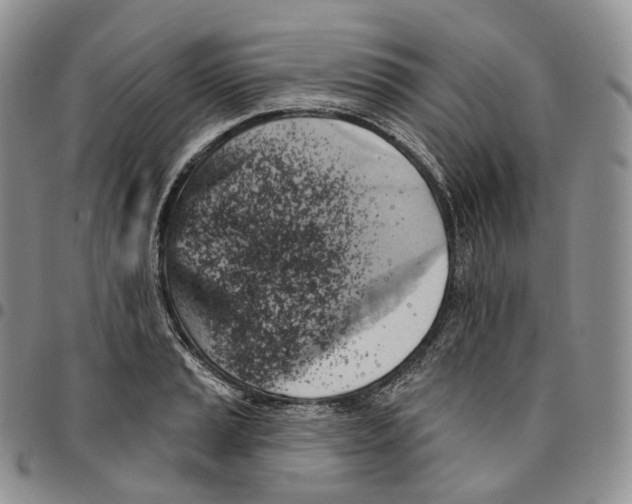 X0000096691037200803041256