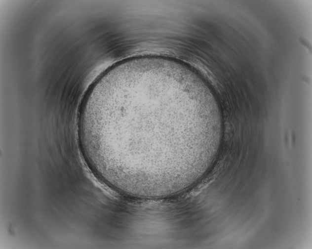 X0000096691038200803041256