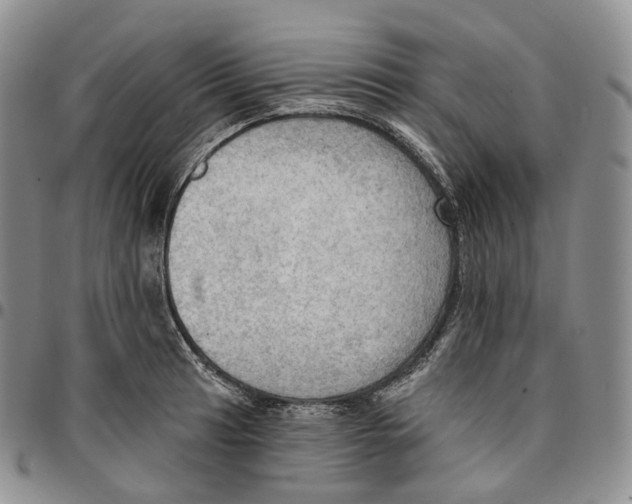 X0000096691041200803041256