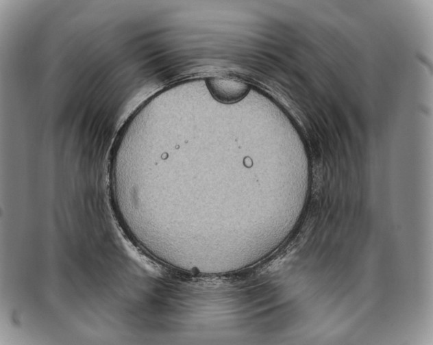 X0000096691042200803041256