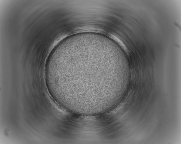 X0000096691043200803041256