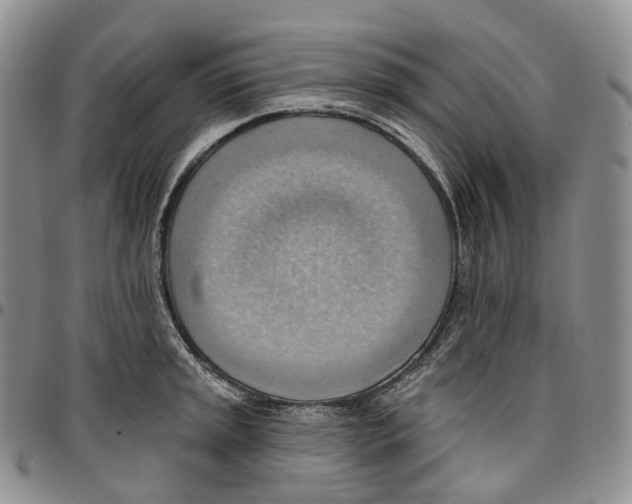 X0000096691045200803041256