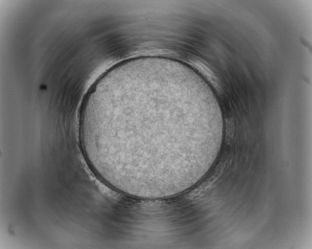 X0000096691046200803041256