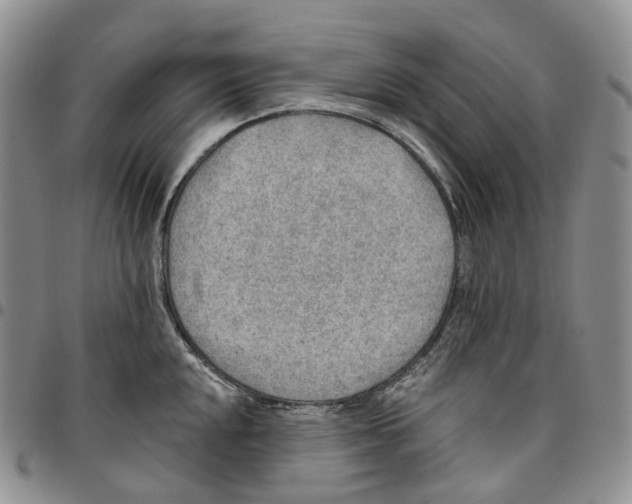 X0000096691048200803041256