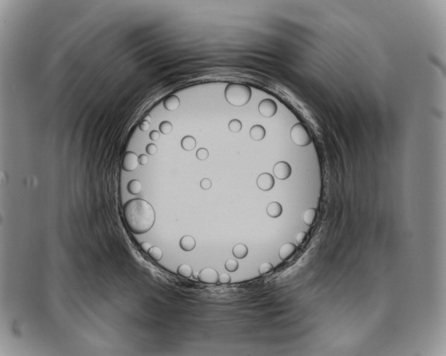 X0000096691049200803041256