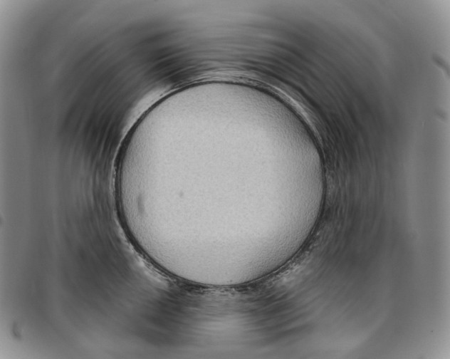 X0000096691050200803041256