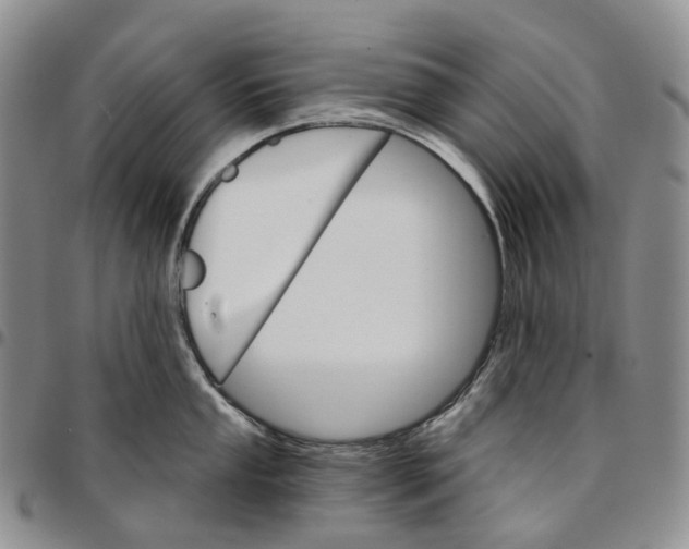 X0000096691053200803041256