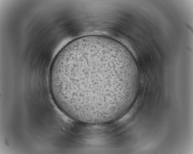 X0000096691054200803041256