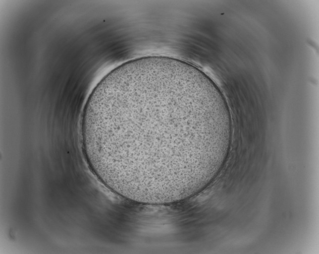 X0000096691056200803041256