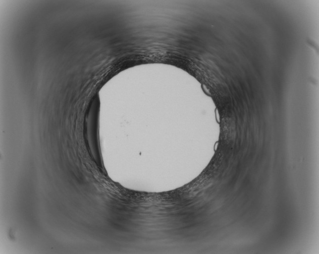 X0000096691057200803041256