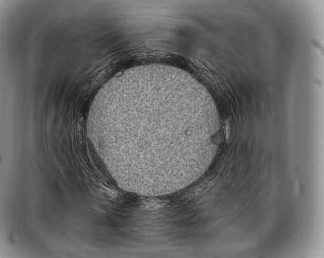 X0000096691059200803041256