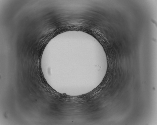 X0000096691061200803041256