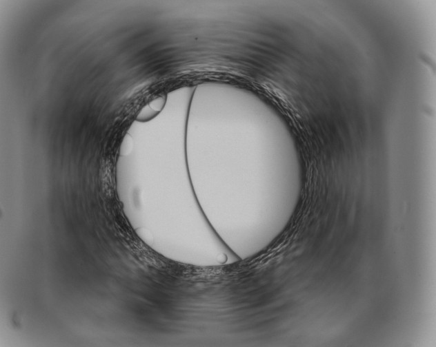 X0000096691062200803041256