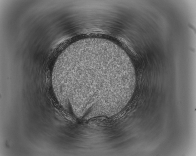 X0000096691063200803041256