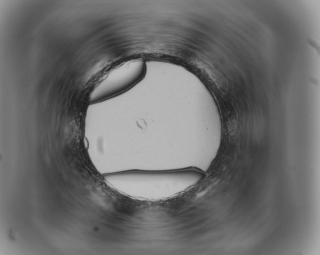 X0000096691064200803041256