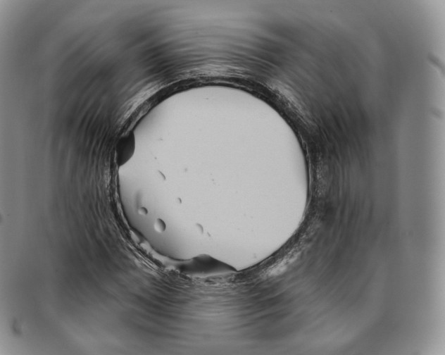 X0000096691065200803041256