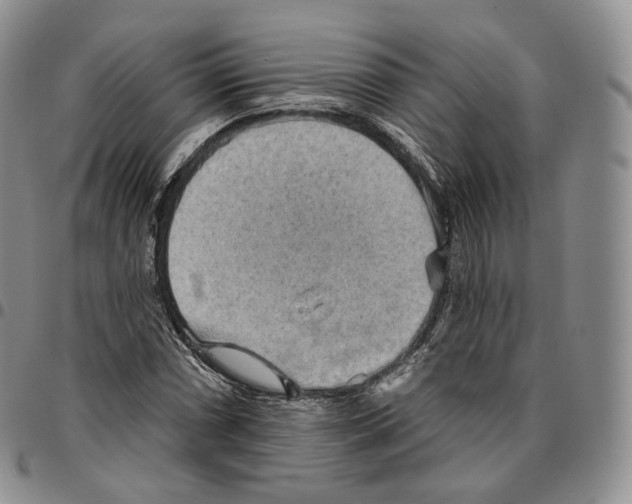 X0000096691066200803041256