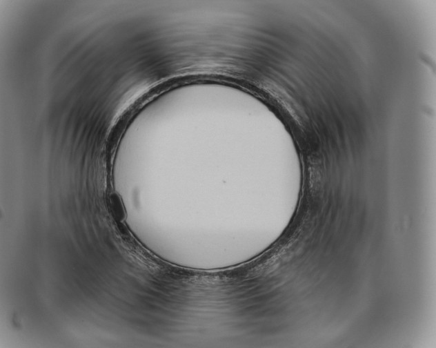 X0000096691069200803041256