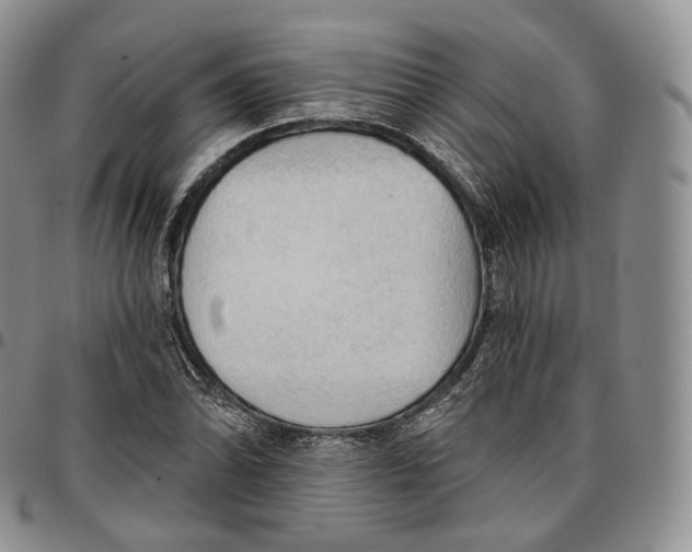 X0000096691070200803041256