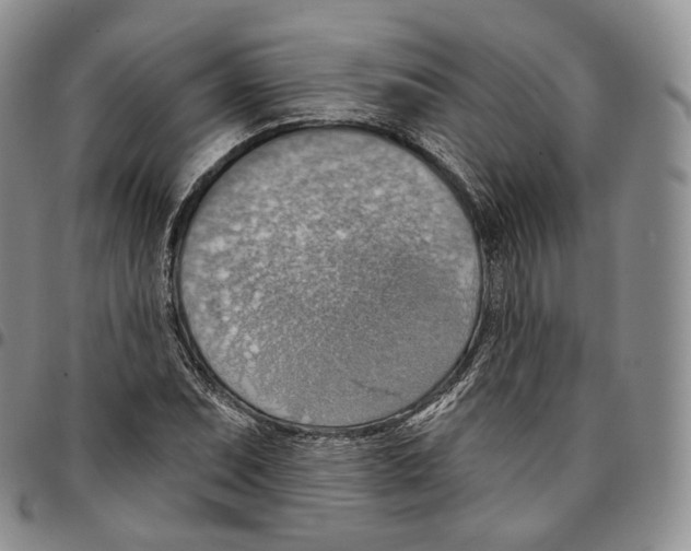 X0000096691071200803041256