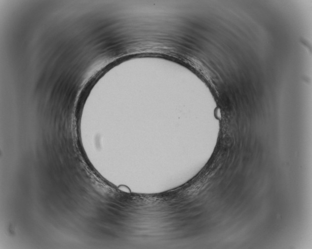 X0000096691072200803041256