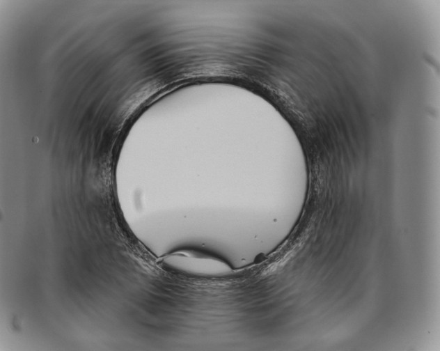 X0000096691073200803041256