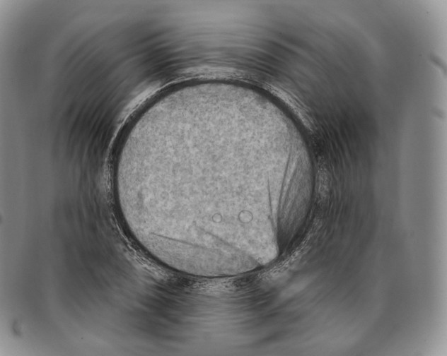 X0000096691074200803041256