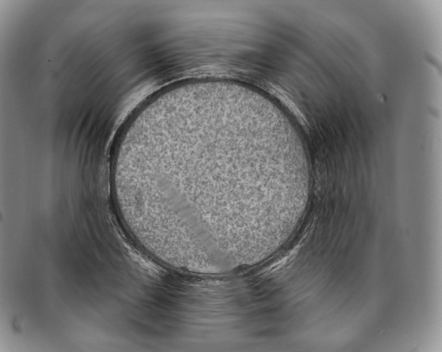 X0000096691075200803041256