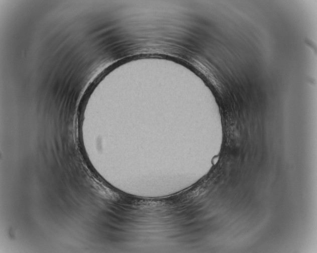 X0000096691076200803041256