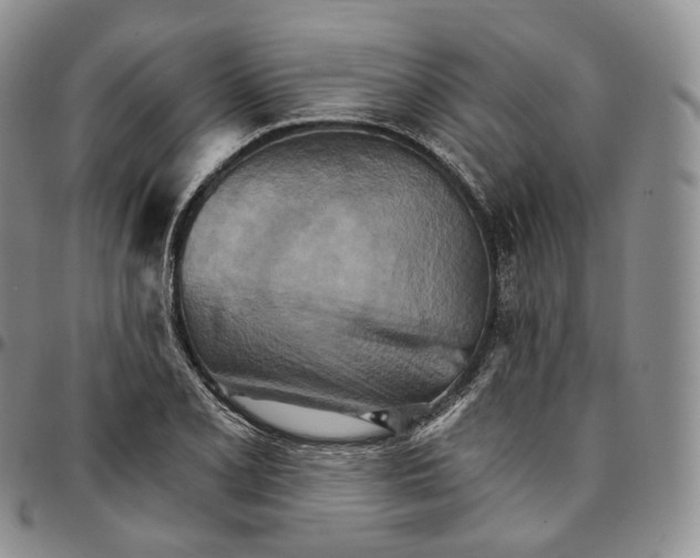 X0000096691077200803041256