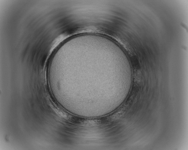 X0000096691078200803041256