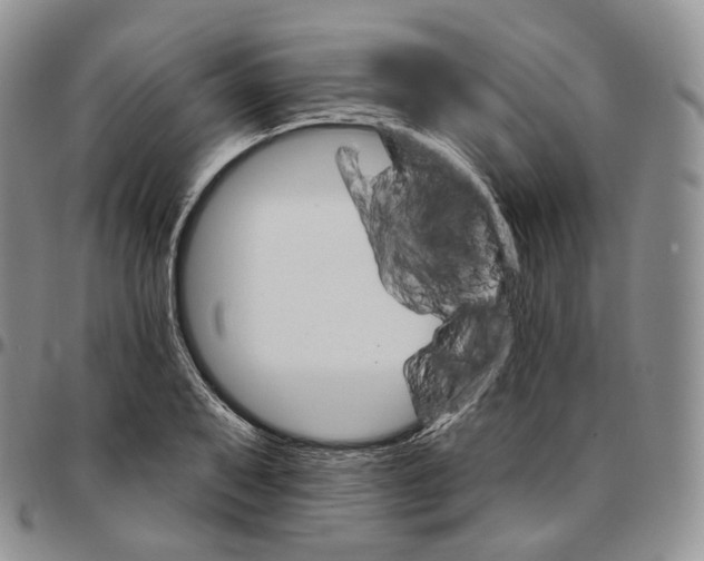 X0000096691079200803041256