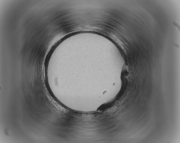 X0000096691080200803041256